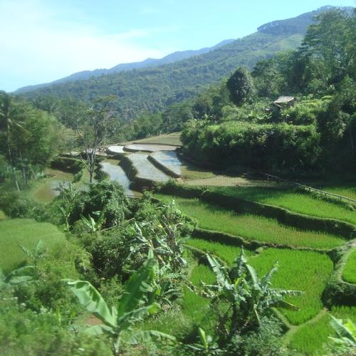 UItzicht uit trein van Bandung naar Jogjakarta